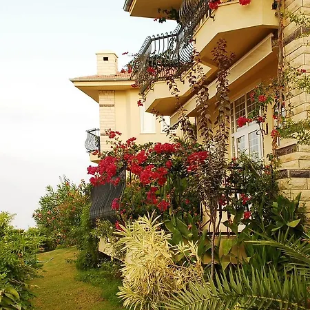 Gold City Villa 3+1 Privet Pool Daire *